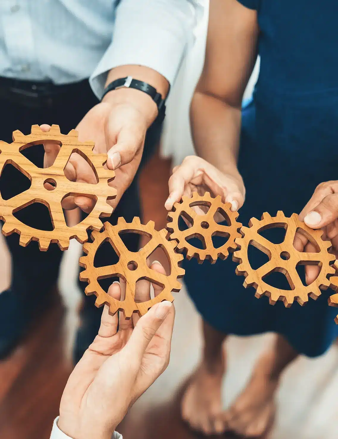 gestionnaire-patrimoine