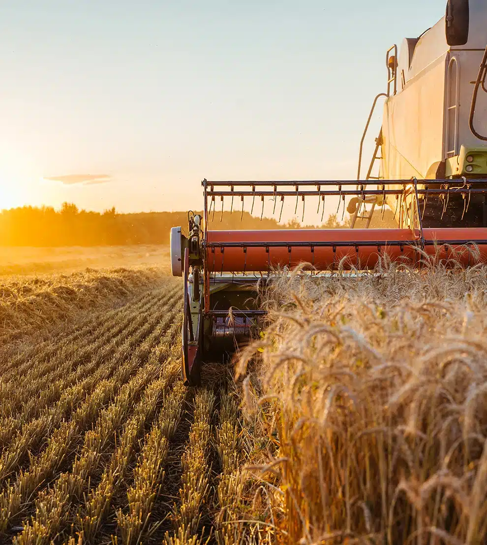 placements-judicieux